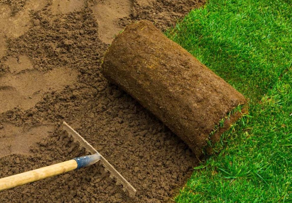 Beautiful sod lawn installation