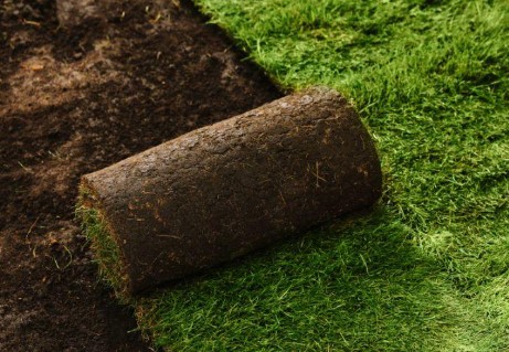 Sod installation service